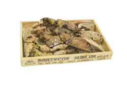Mariscos Huelva Mar producto bocas de cangrejo